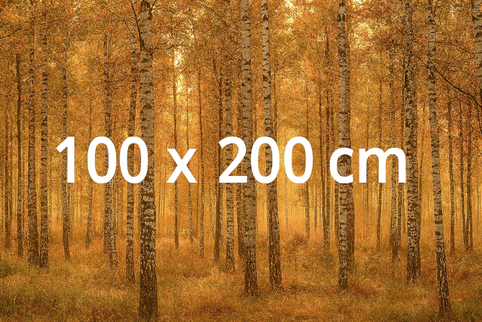 Vlies-Fototapete 100 x 200 cm – stilvolle Motive für schmale Wandgestaltung